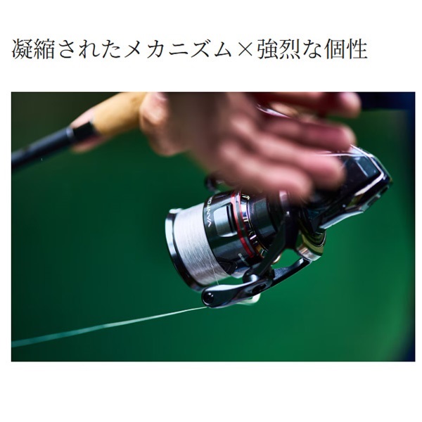 24ヴァンフォード